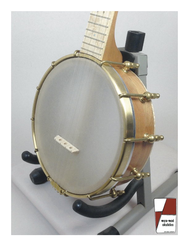 UL128-banjo