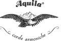 Aquila