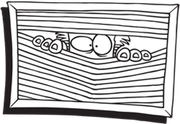 toon_Blinds_l