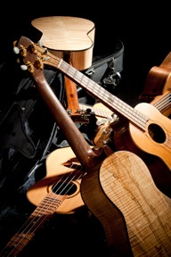 BrianGriffinUkuleles