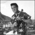 Elvis(uke)