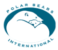 PolarBearsInternational
