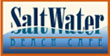SaltWaterBeach